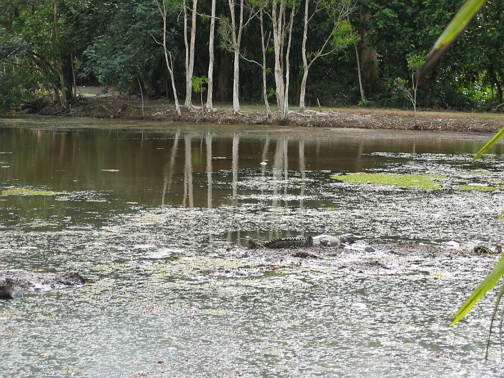 Cairns27 Centenary Lakes.jpg